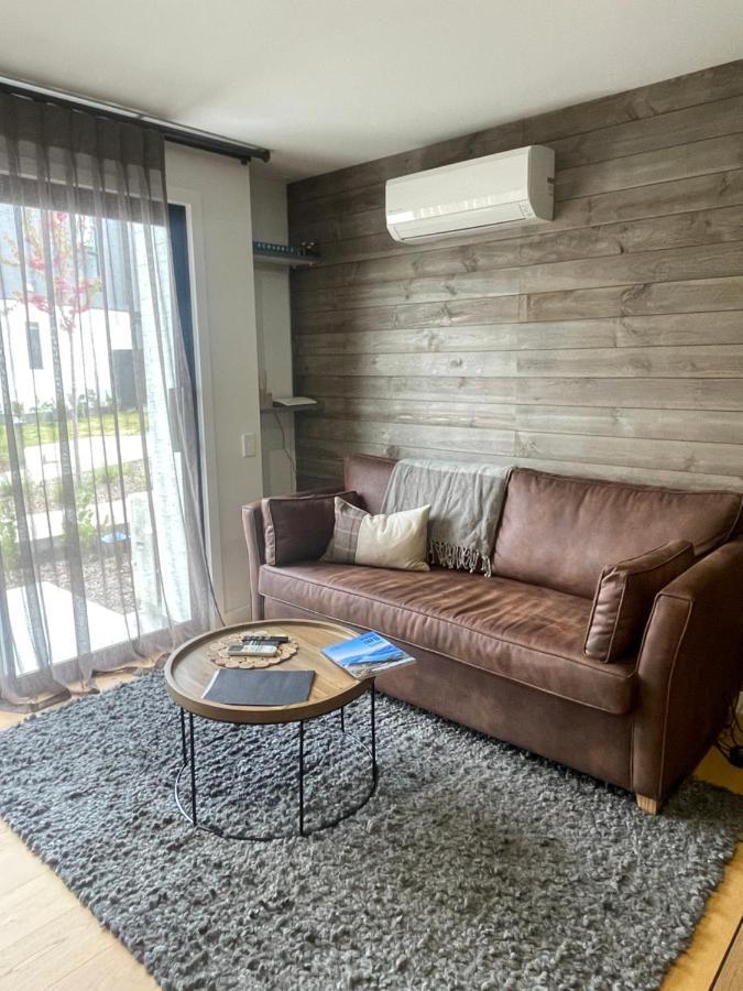 Alpine Junction Townhouse Apartments, Lodge & Hotel واناكا المظهر الخارجي الصورة